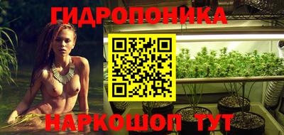 спиды Аргун