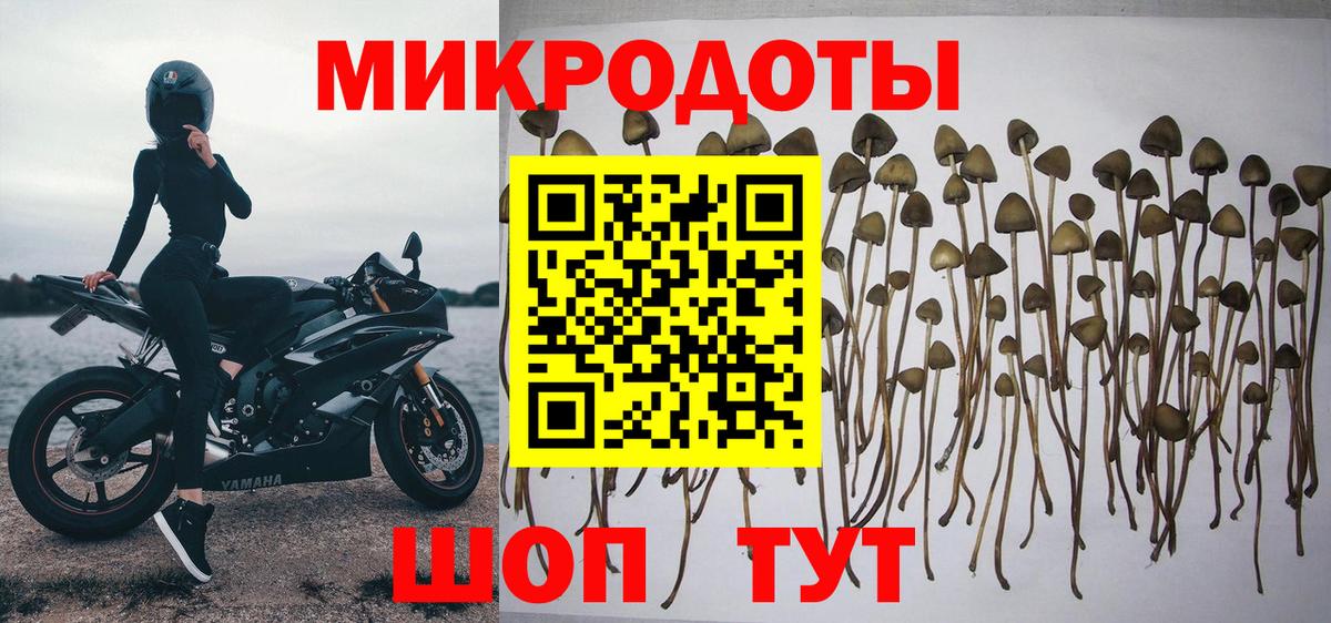 Аша  Галлюциногенные грибы ЛСД  Вход с VPN 